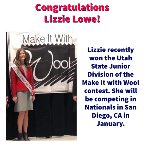 Lizzie Lowe Wins Utah State Junior Division of the Make it with Wool contest.