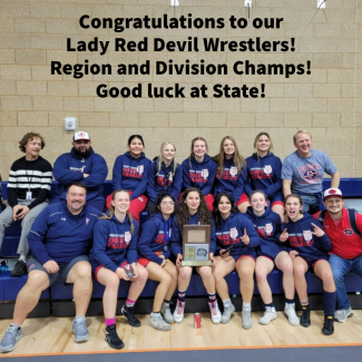 Lady Red Devil Wrestlers take Region and Divisions.